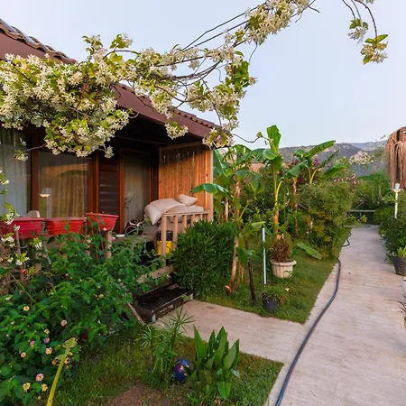 Bed & Breakfast Izgen Çıralı