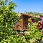 Bed & Breakfast Izgen Çıralı