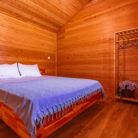 Izgen Frühstückspension Çıralı