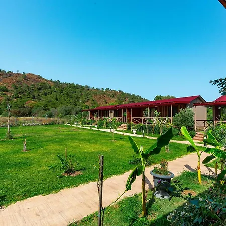 ベッド・アンド・ブレックファスト Izgen Çıralı