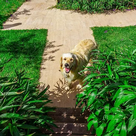 ベッド・アンド・ブレックファスト Izgen 3*