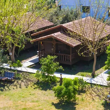 Izgen Çıralı
