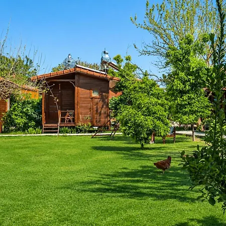 Oda ve Kahvaltı Izgen