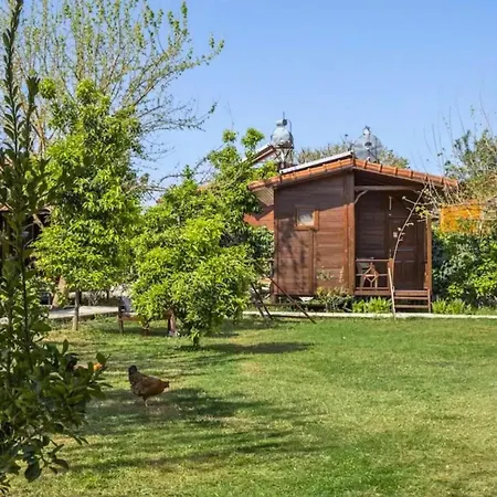 Izgen 4* Çıralı